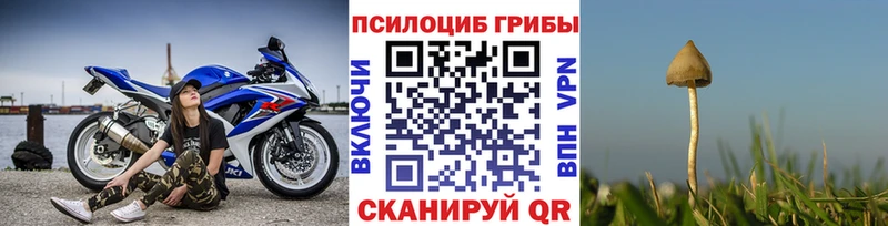 Галлюциногенные грибы Psilocybe  Сорочинск 